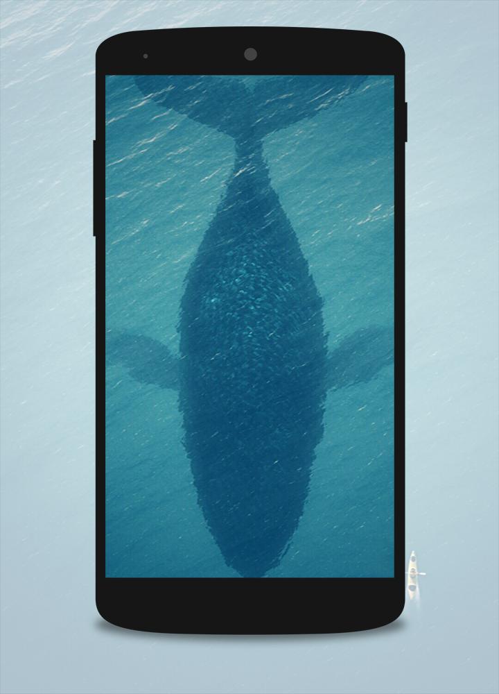 Wallpapers (SGA5)