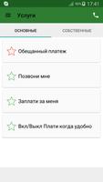 Megafon Requests