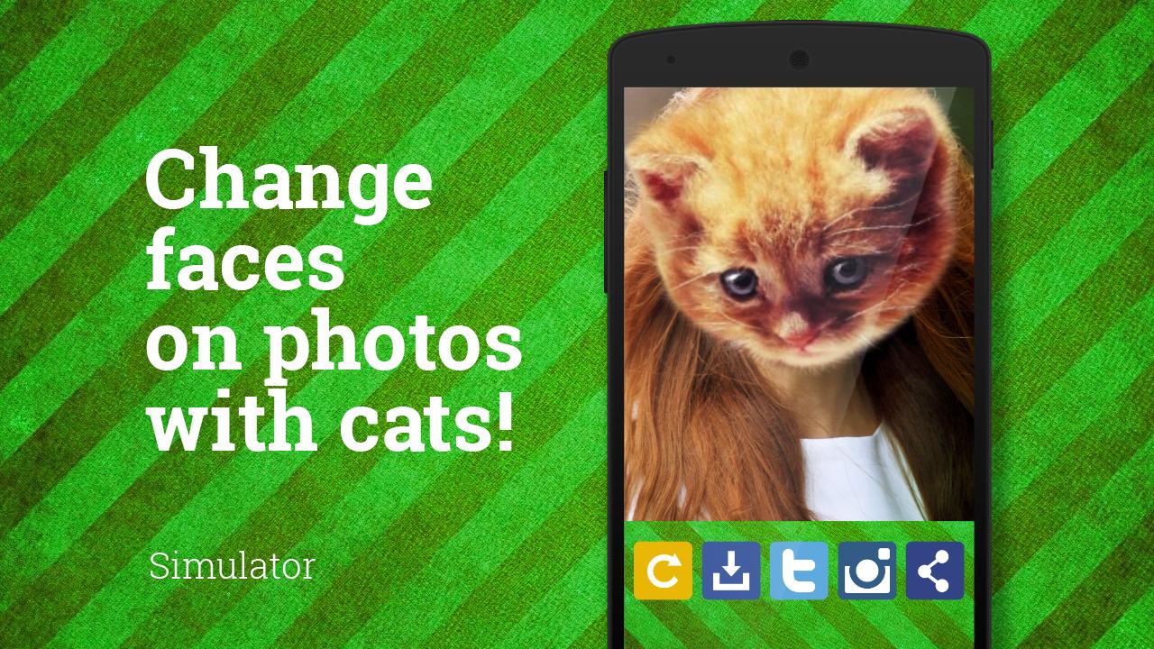 Cat Face Photo