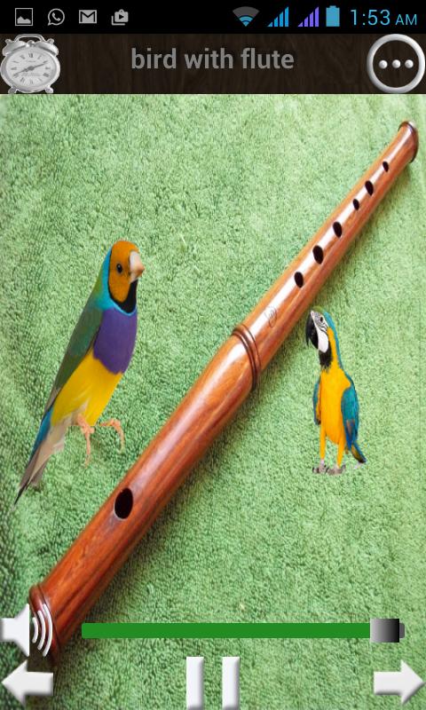 nature music