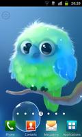 Kiwi The Parrot