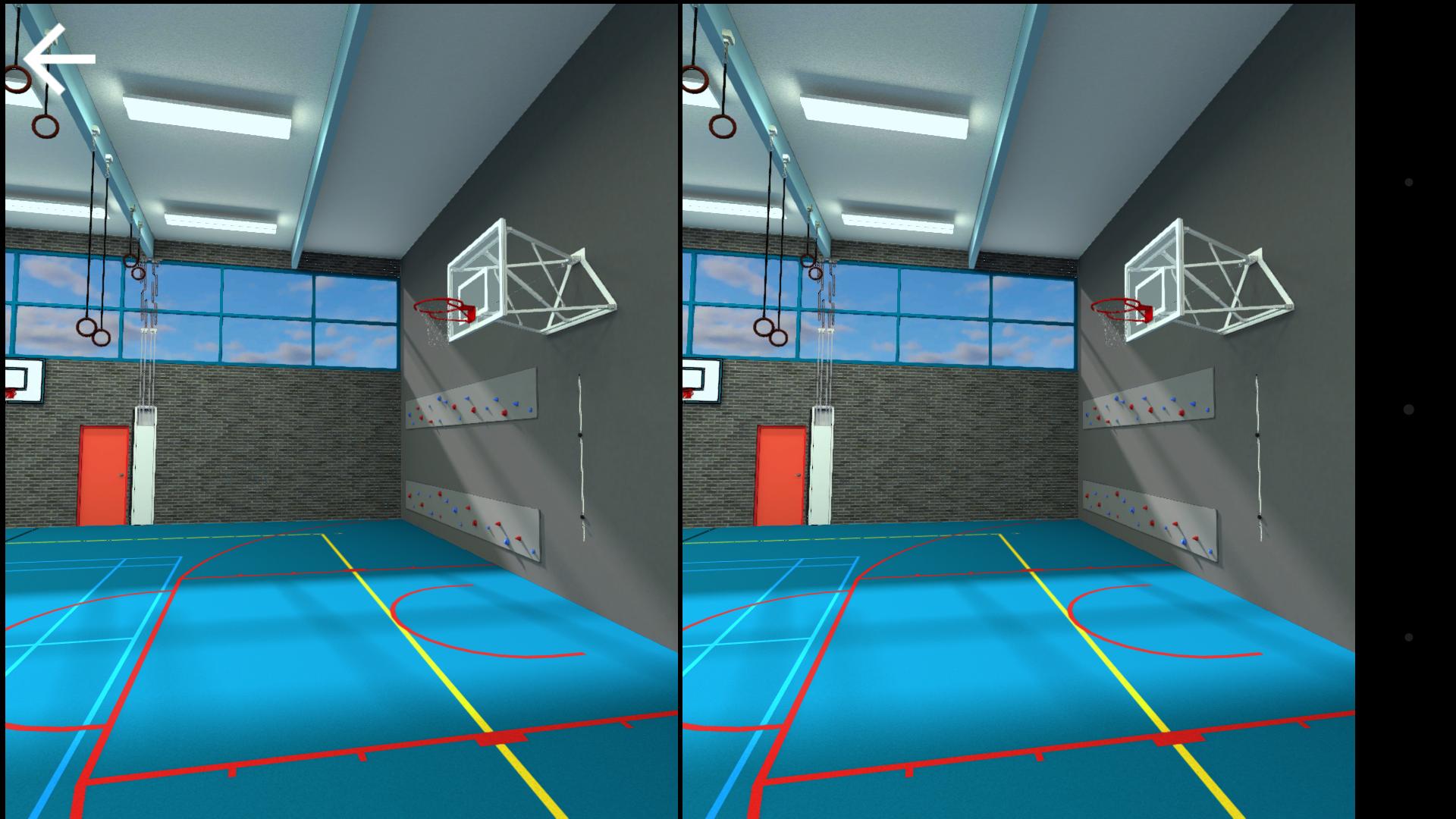 VR Sports