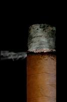 v Cigar