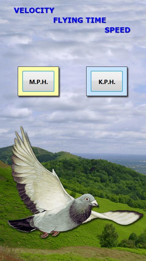 Racing Pigeon Speed