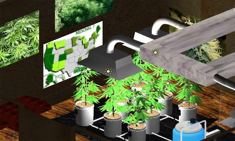 Hydro Weed Grow