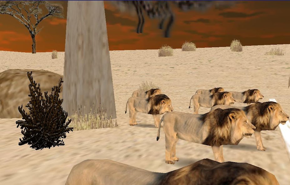 Savanna Race