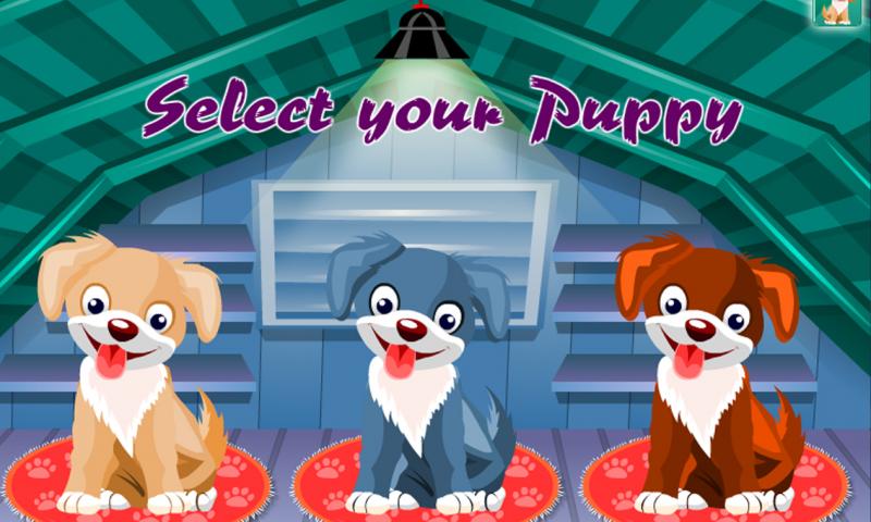 Cute Puppy Care