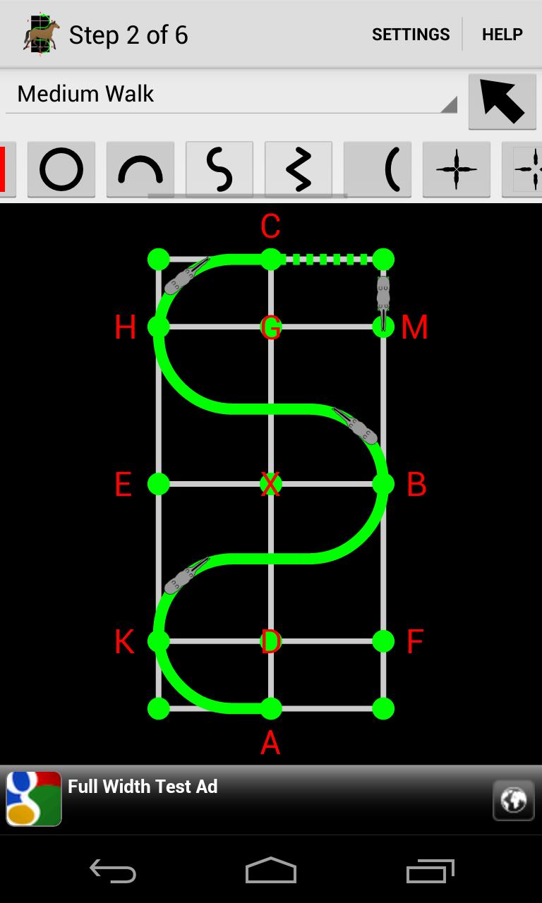 Dressage Lite