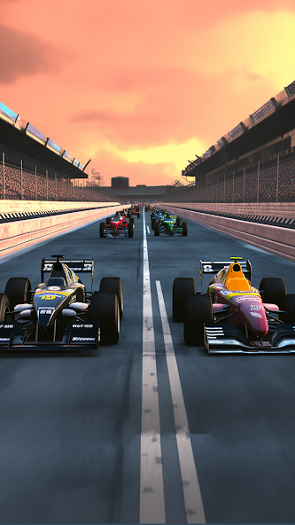 Real  Formula Car Race