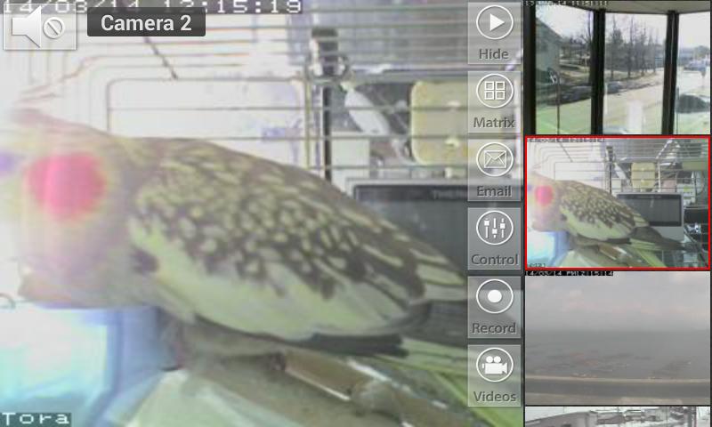 Viewer for EasyN cameras