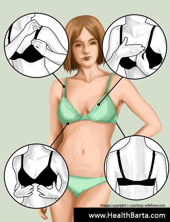 Beautiful breast
