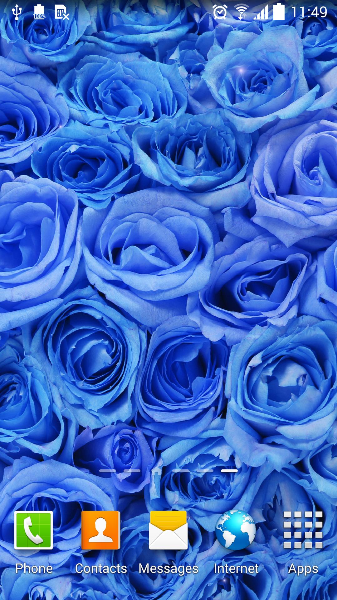 Rose Live Wallpaper