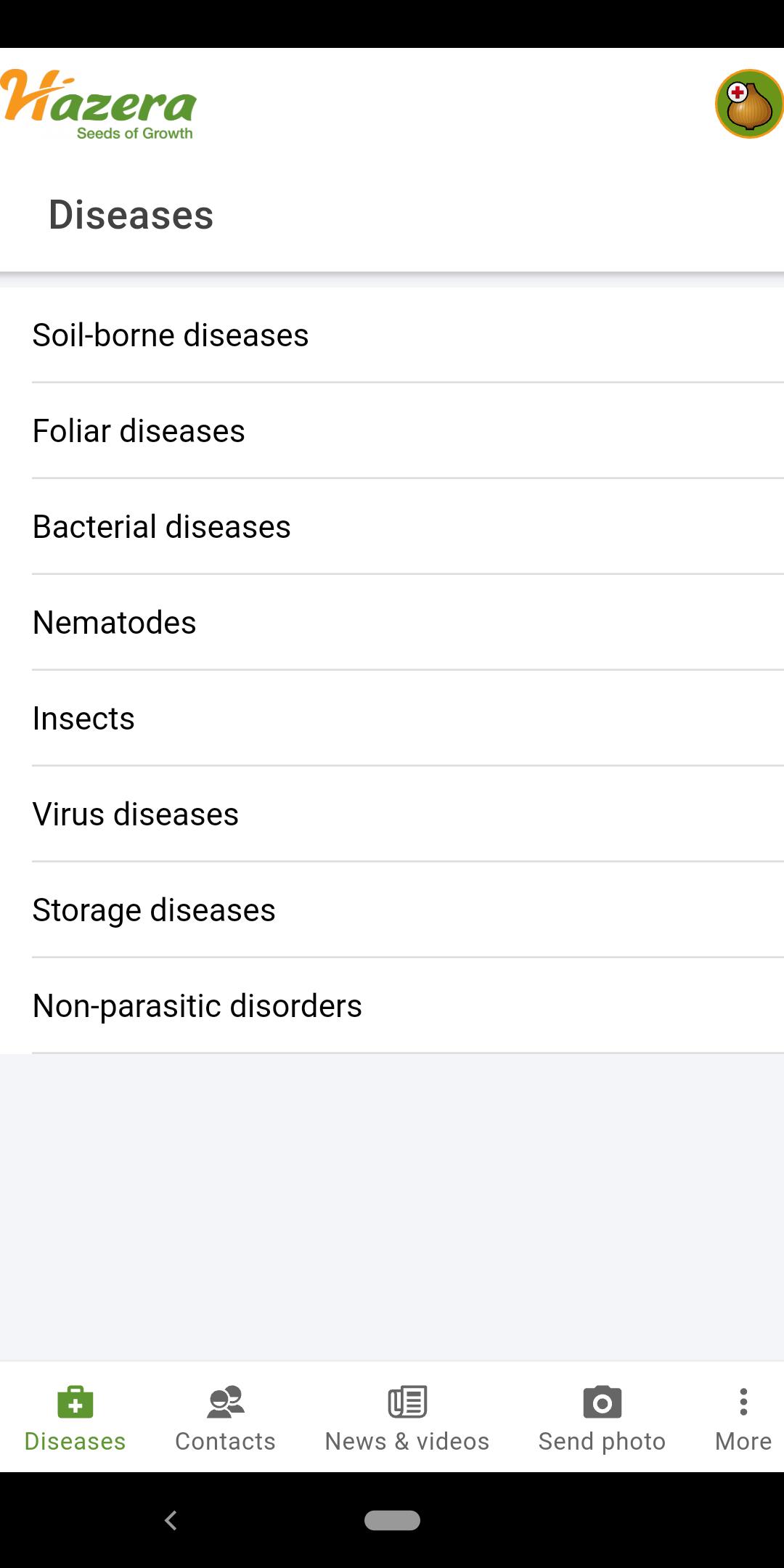 Onion diseases