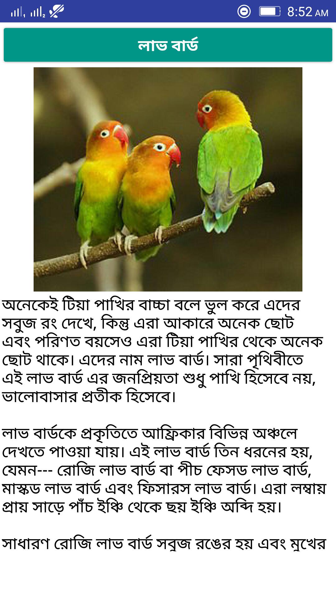 Birds Care