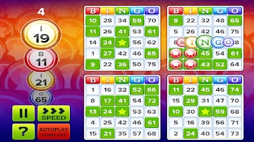 Bingo Bonus