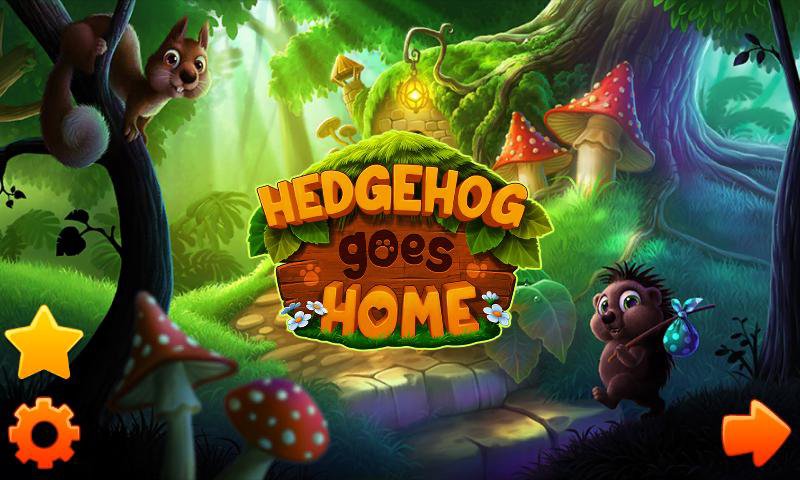 Hedgehog goes home