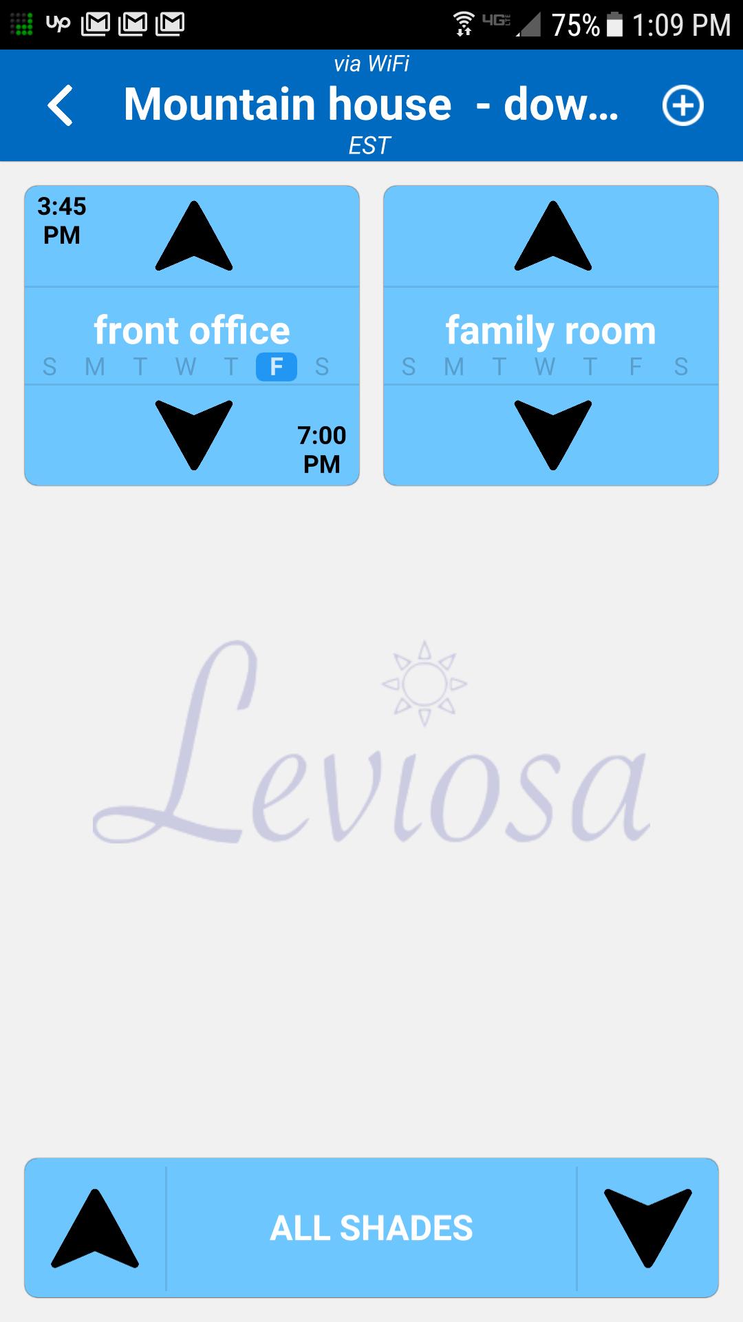 Leviosa