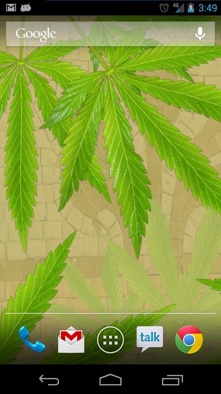 MaryJane Free