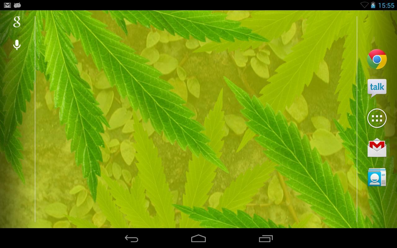 MaryJane Free