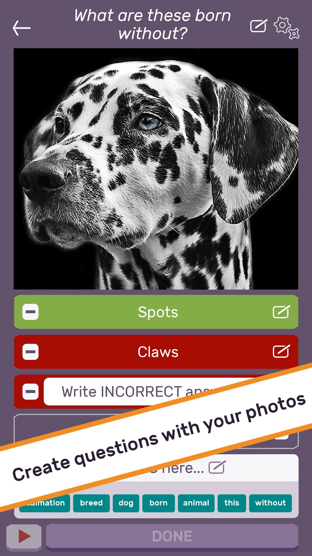PlayPhoto