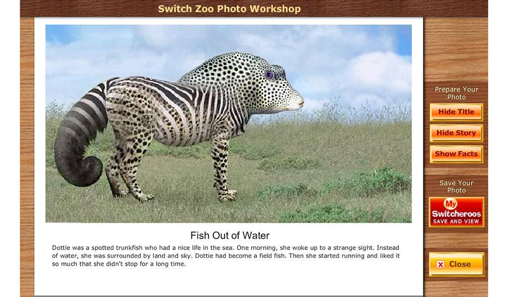 Switch Zoo Free