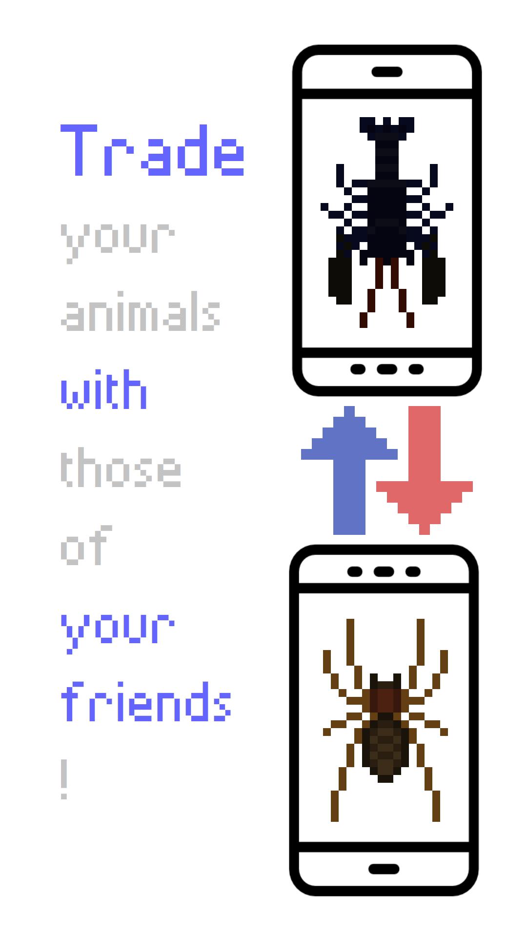 My dear animals
