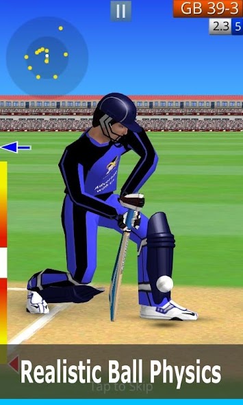 Smashing Cricket