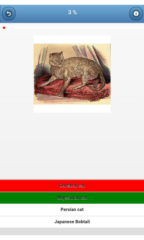 Cat breeds - quiz