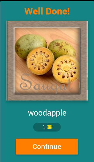 Name The Fruit Game