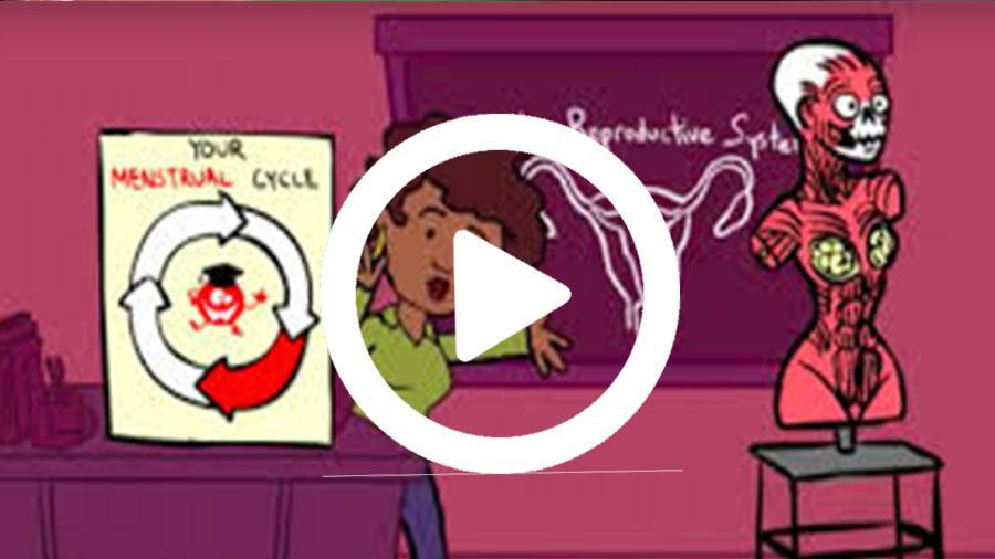 Storybooth Animatic