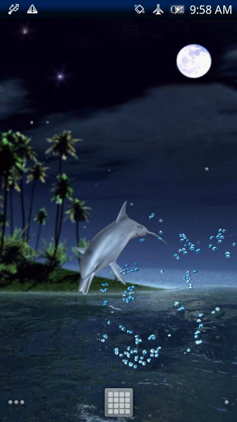 Dolphin Fly Trial