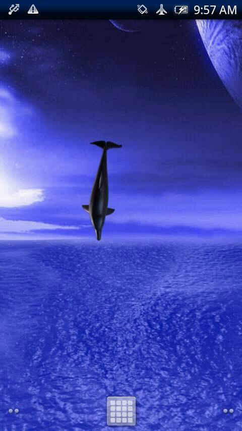 Dolphin Fly Trial