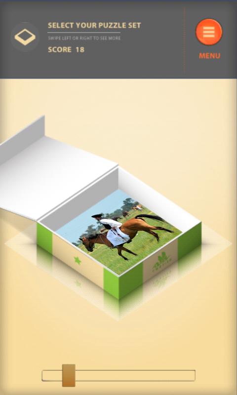 PuzzleX