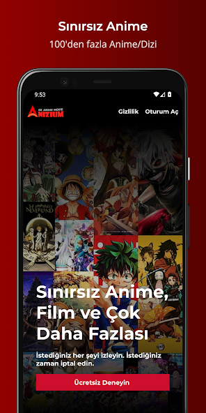 Anizium
