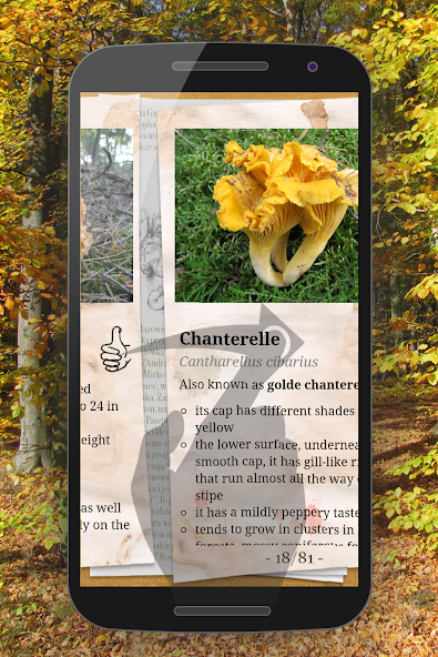 The Mushroom Book