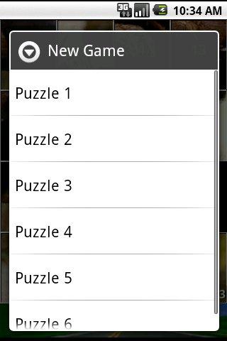 Panda Bear Puzzles