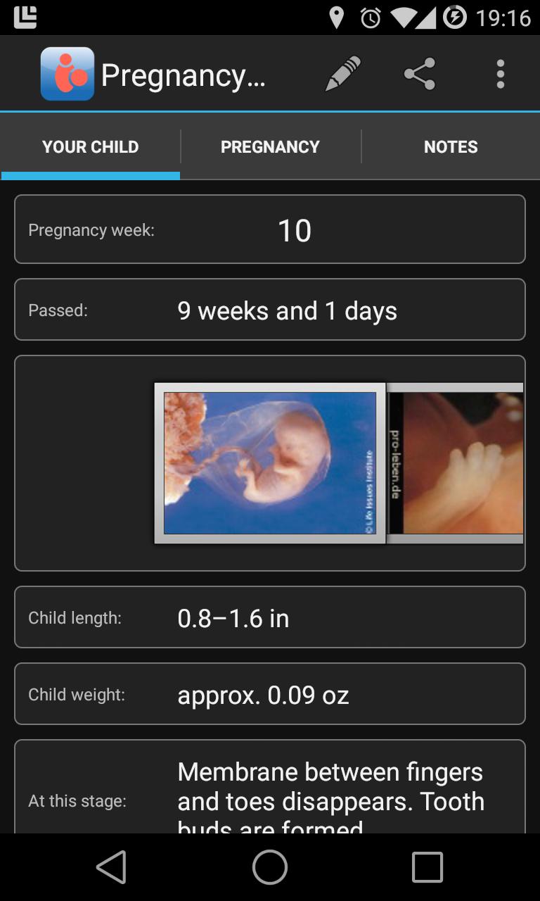 Pregnancy Assistant