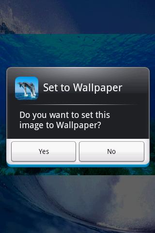 Ocean Life Puzzle