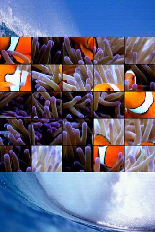 Ocean Life Puzzle