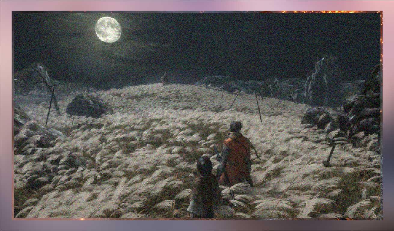 Sekiro