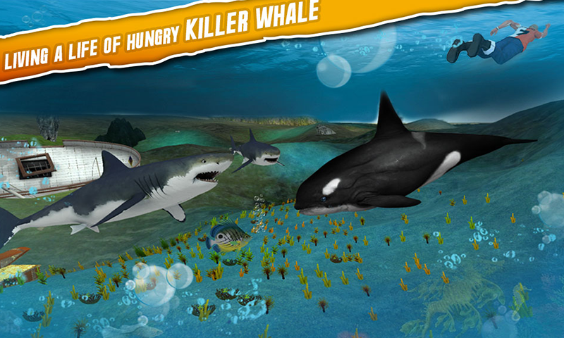 Angry Whale Simulator 2016