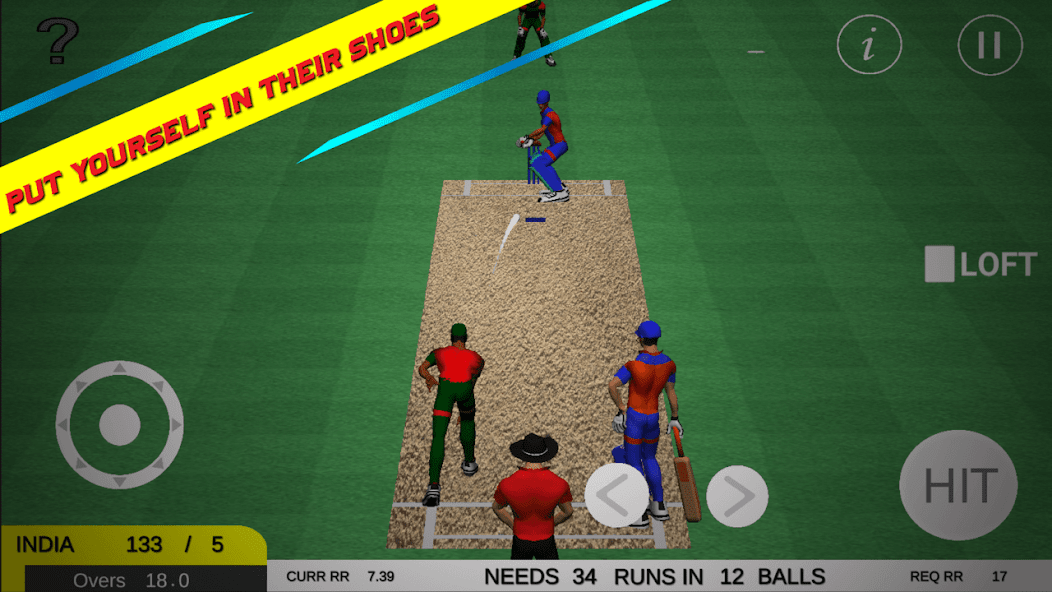 Cricket India Run Chase