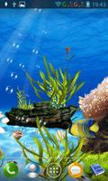 Aquarium live