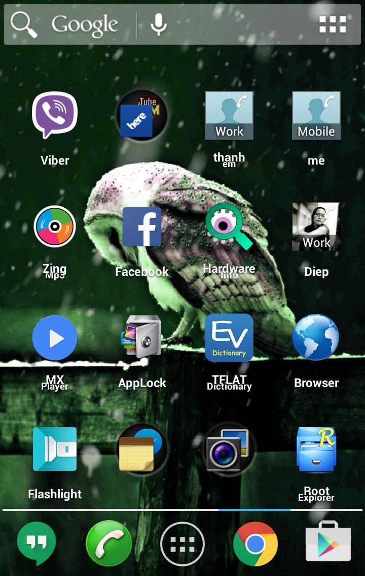 Owl Live Wallpaper
