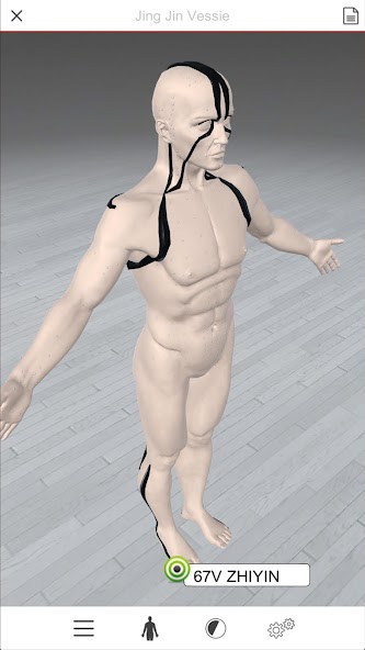 Acupuncture 3D
