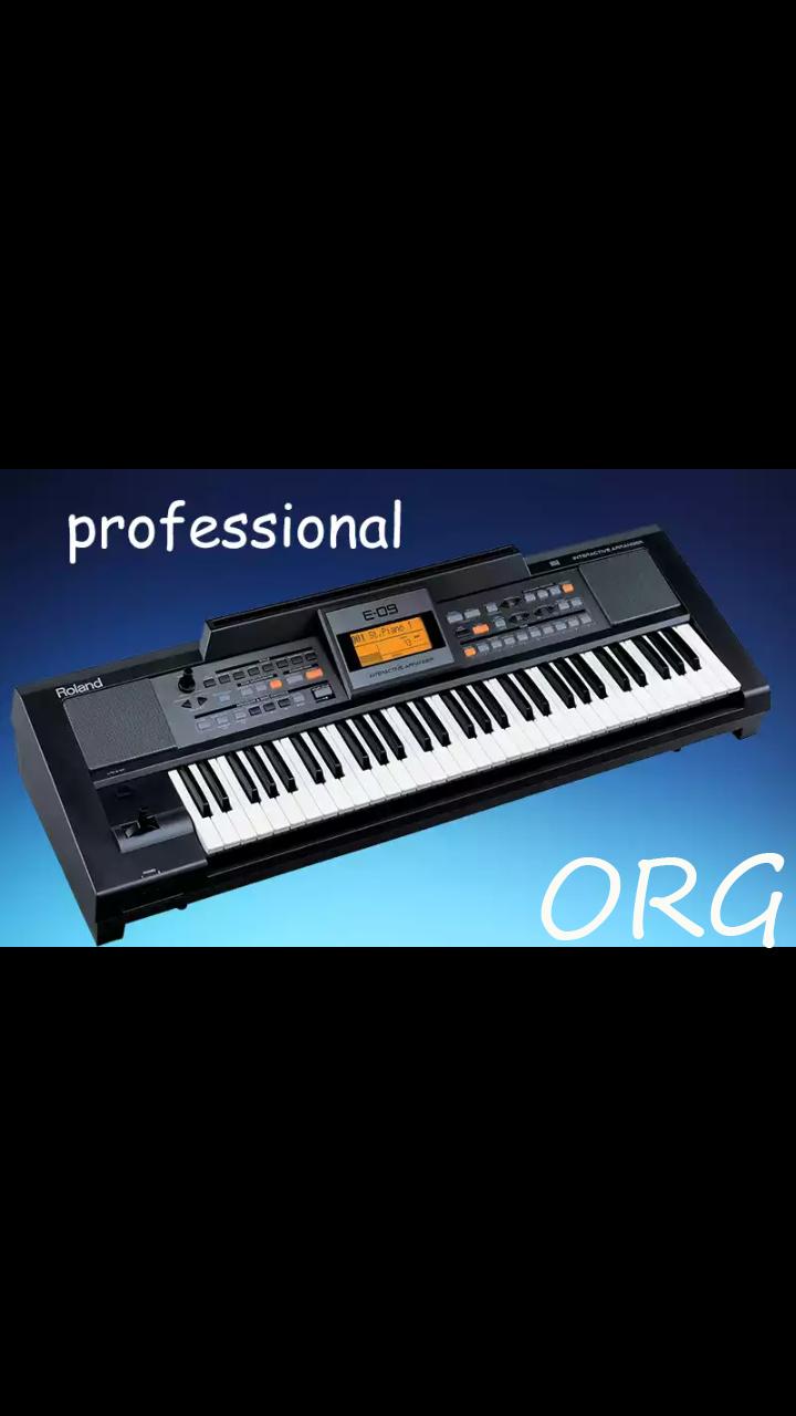 Electro ORG 2018