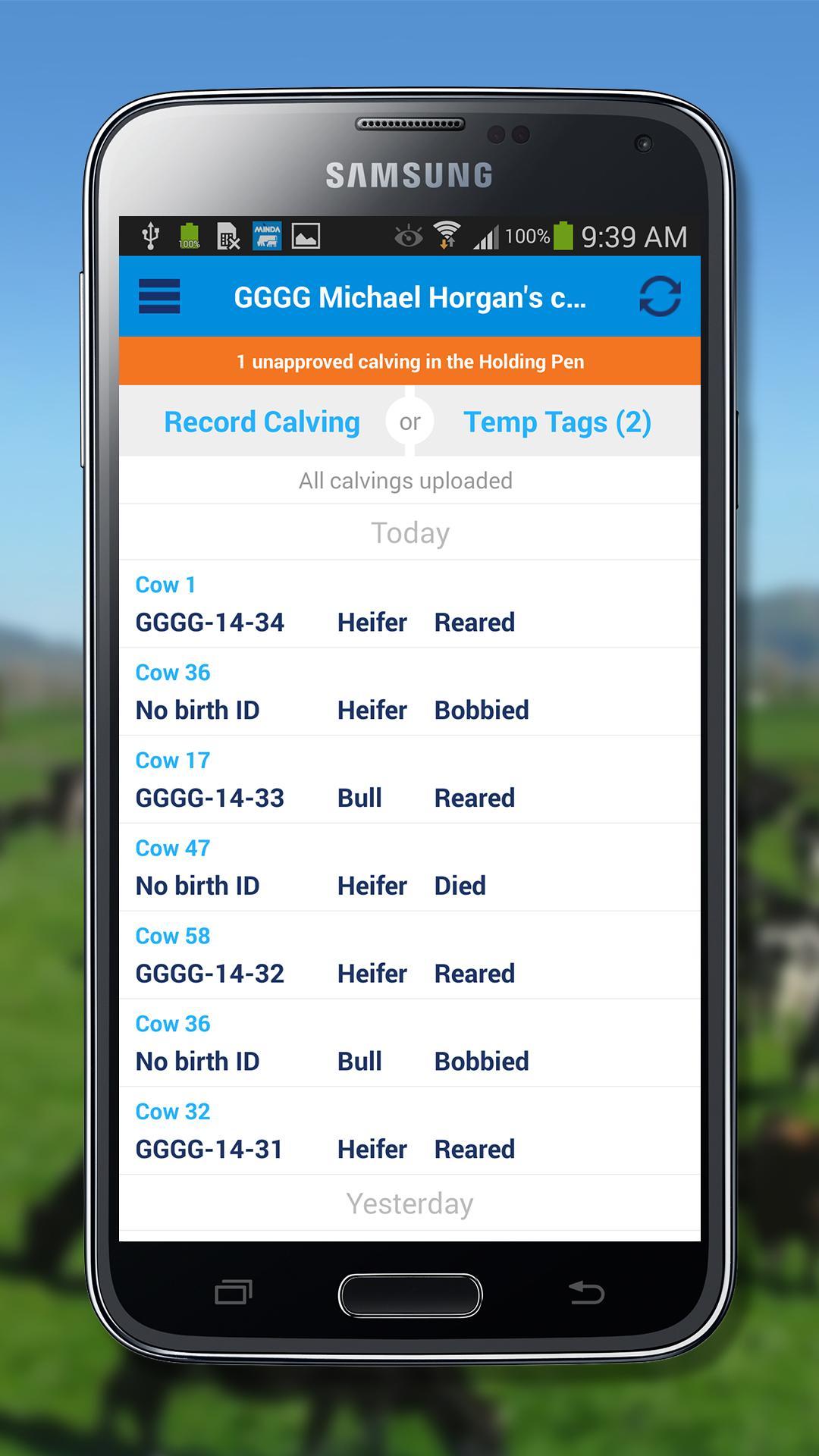 MINDA Calving