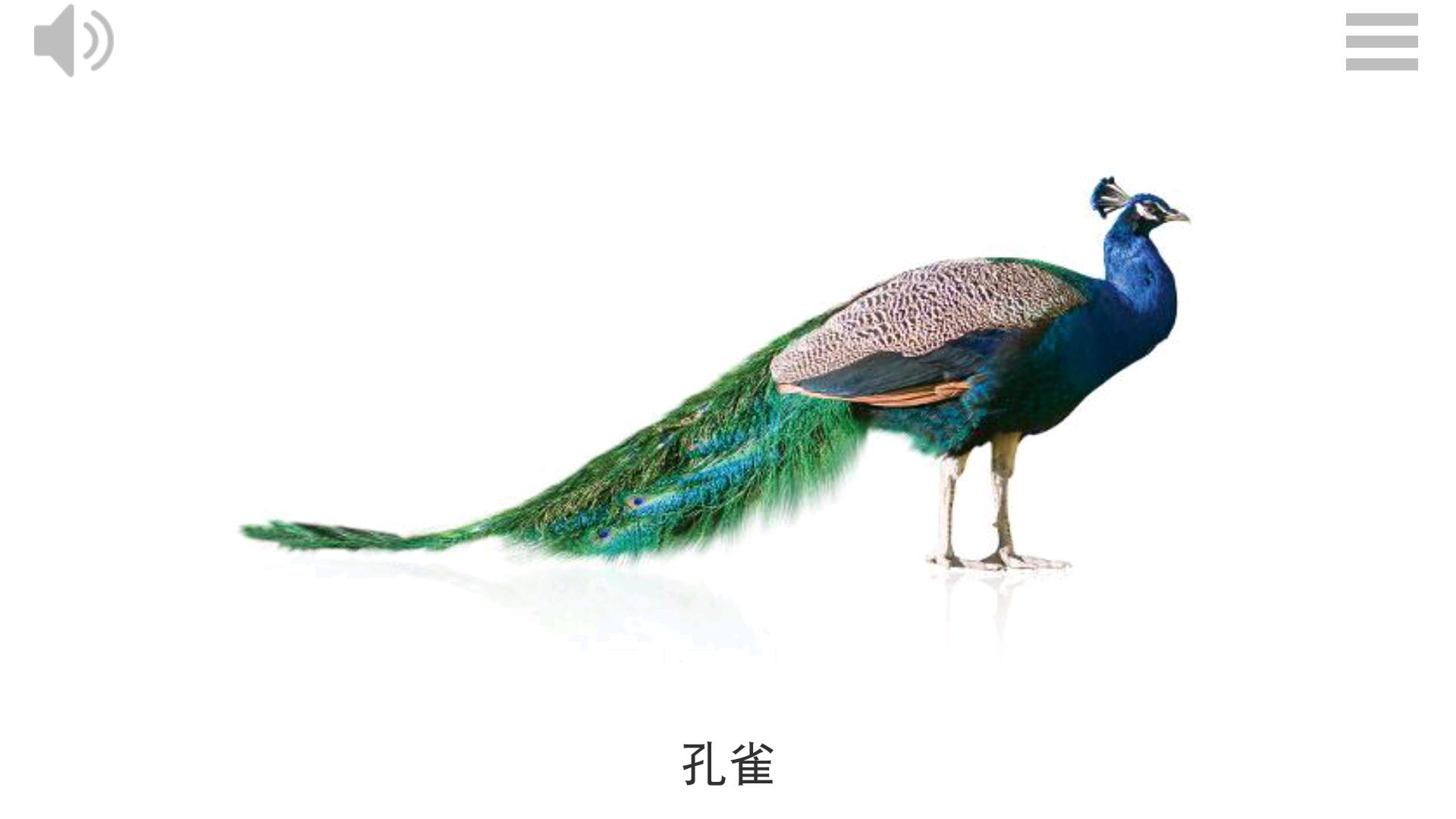 Play & Learn CHINESE TAIWAN