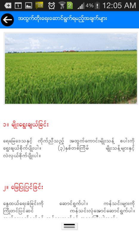 Myanma Awba