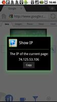 Dolphin Show IP